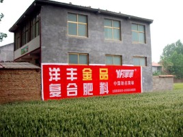 陆良如何让墙体广告展现最大化效果