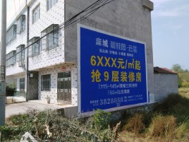 陆良墙体广告质量分析