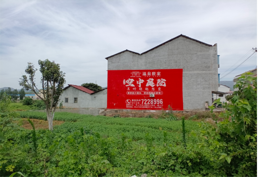 陆良做墙体广告的意义
