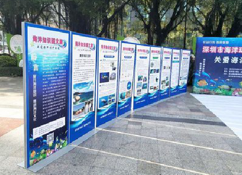 陆良KT板的种类和知识。